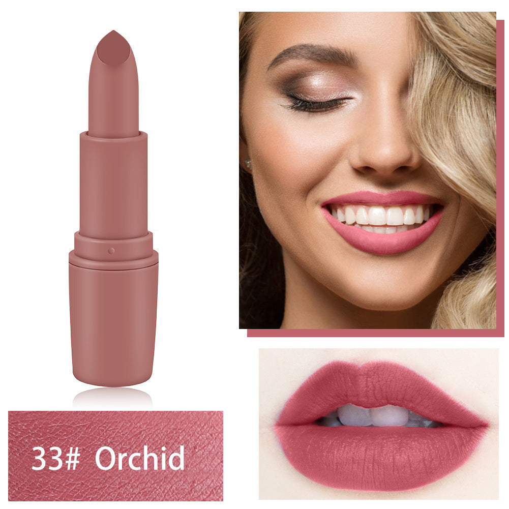 Ladies Fashion Personality Multicolor Lipstick Cosmetics